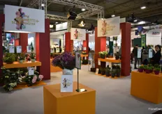 During the opening of the fair, the IPM novelties were again awarded. 33 plant exhibitors with a total of 63 cultivars took part in the "IPM Novelty Showcase" competition, which was jointly organized by the Zentralverband Gartenbau e. V. (ZVG) and Messe Essen for the 14th time this year. Eva Kähler-Theuerkauf, President of the North Rhine-Westphalia Horticultural Association, and the reigning Flower Fairy Regina Haindl presented the certificates to the award winners. Click here for the winners.